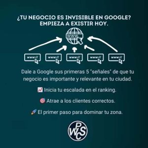 5 backlins economicos 05