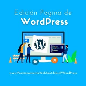 Edición Pagina de Wordpress