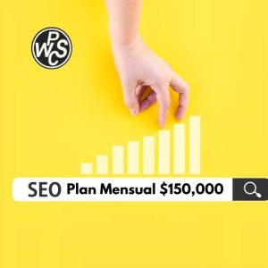 seo mensual 150